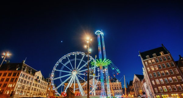 How to Keep a Terrier Entertained on a Rainy Day with Indoor Games?